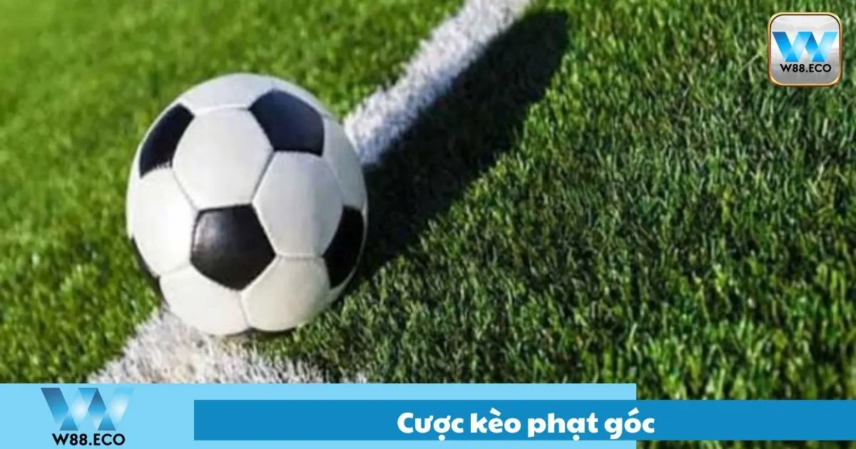 Hướng Dẫn Cược Kèo Phạt Góc Tại W88 – Kiểu Cược Phụ 1 Cách cược kèo phạt góc